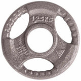 Olympic Cast Iron Tri-Grip Disc | 1.25kg Image McSport Ireland