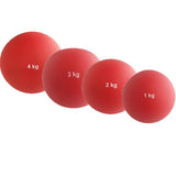 Vinex Indoor Shot Puts 1kg - 4kg Image McSport Ireland